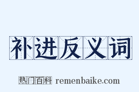 补进反义词是什么意思的图片